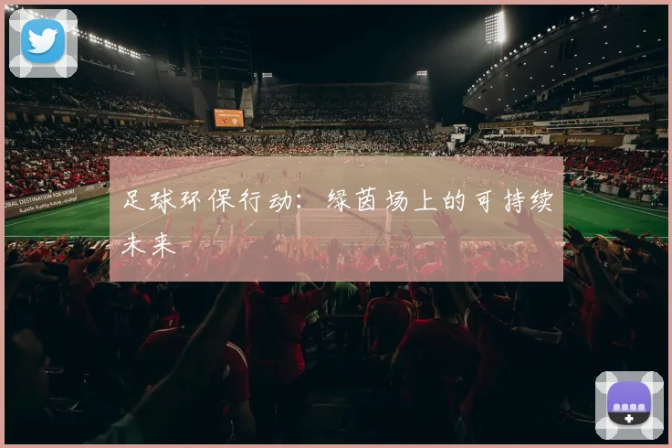 足球环保行动：绿茵场上的可持续未来